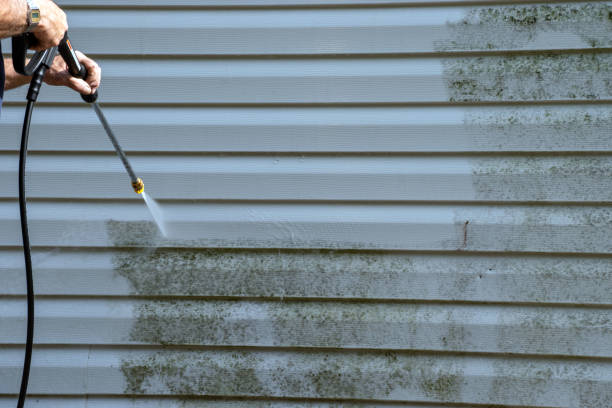 Best Foreclosure Cleanout  in Belding, MI