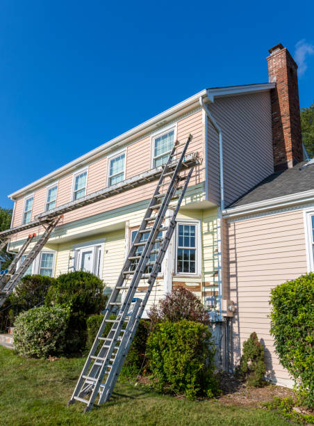 Best Hoarding Cleanup  in Belding, MI